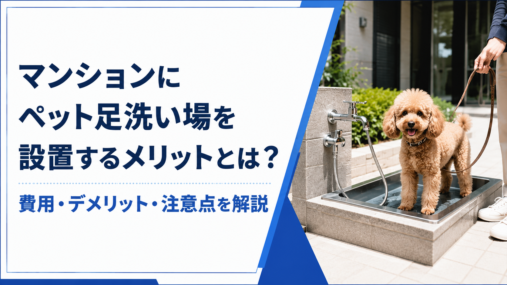 Banner explaining the benefits of a pet-washing area in a condo; dog standing in a wash tub beside a leash area on the right.