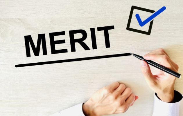 「MERIT」とチェックマークをペンで書いている写真
